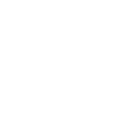 ids Iron Dog